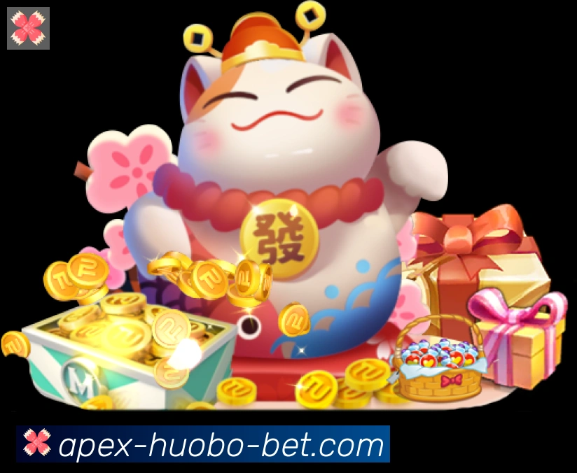 未来规划